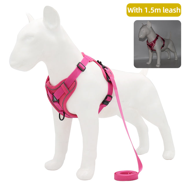 Harness with 1.5m Traction Leash Set